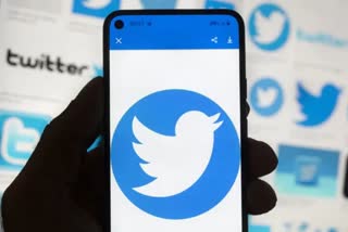 Twitter laid off half its employees