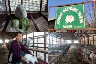 Rabbit farm in Kashmir