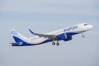 Indigo airline