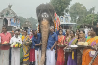 அபயாம்பிகை யானைக்கு 50; விழா எடுத்து கொண்டாடும் பக்தர்கள்