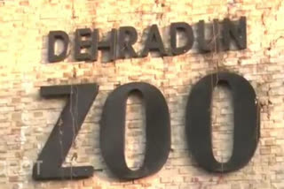 Dehradun Zoo