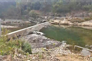 .Seer khad Check dam Damaged in Bilaspu