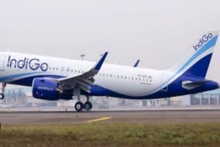 Raipur to Goa flight