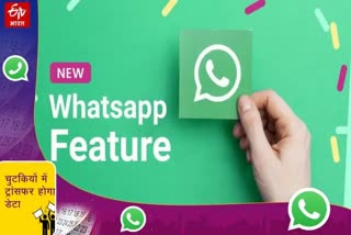 whatsapp new feature