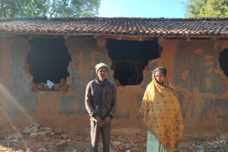 Elephant Mischief In Rural Areas Of Gumla