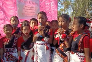 Public festival observed in Jonai