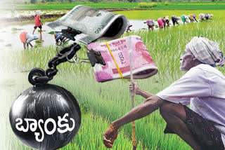 crop loans