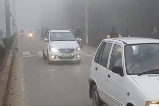 dense fog in sirsa