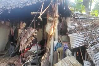 Wild elephants destroyed two houses in Sonari Charaideo