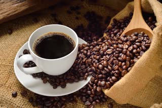 coffee effect on climate change