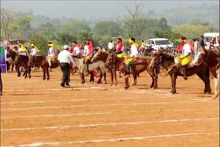 Horse riding competitions