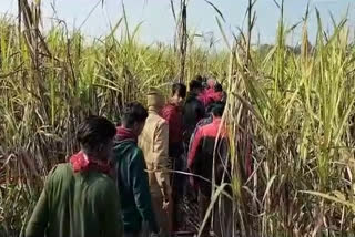 Tiger killed laborer of UP