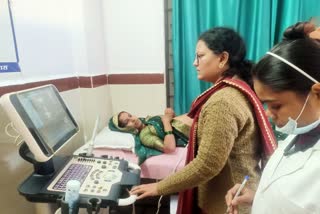 investigation of pregnant women started Shivpuri