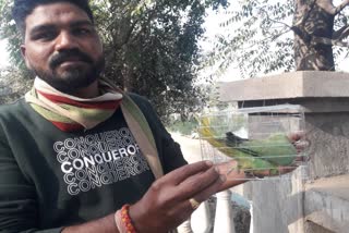 Chhattisgarh teacher gives freedom to birds