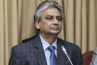 RBI Deputy Governor Michael Patra (File Photo)