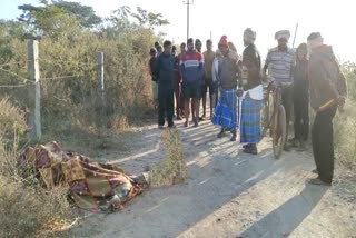 Beggar woman killed by stray dogs