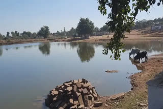 Pond at Hinauti village in Damoh district of MP