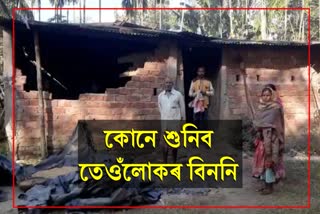 Elephant destroyed concrete house in Kamakhya village of Kaliabor