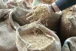 FIR against three people including Center Director in paddy scam