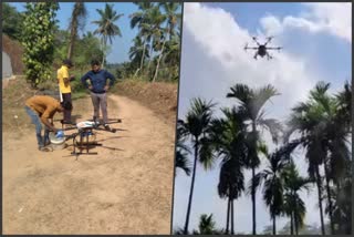 Drug spraying of areca nut by drone