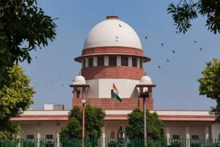 sc on omc case