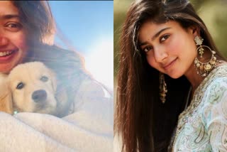 Actress Saipallavi post a photo in social media after three months