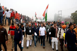 rahul gandhi on bharat jodo yatra in haryana