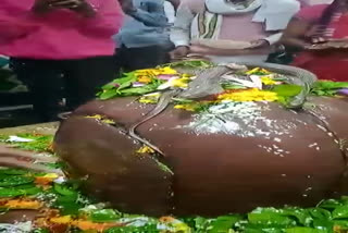 satna shiv temple snake sit on shivling