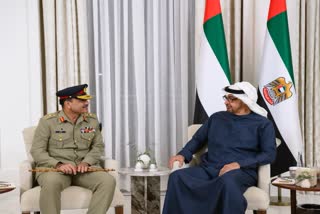 Pakistan Army Chief meets UAE President