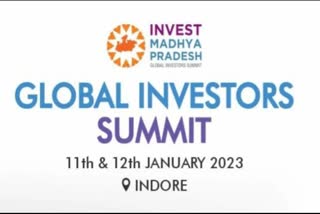 global investors summit