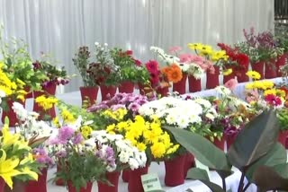 Flower exhibition in Raipur