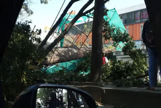 Bengaluru metro pillar collapse