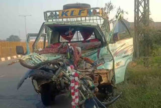 Two Bullocks Died In Road Accident