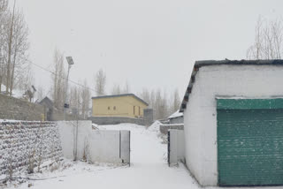 Seasons First Snowfall at Lahaul Valley ETV BHARAT