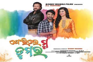 Mu ferile Tumara audio released