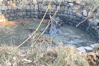 elephant fell in well in kachhar village