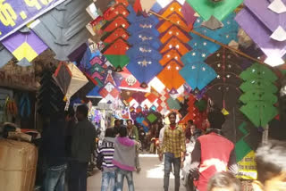 collector announced holiday for Makar Sankranti, now school kids can enjoy kite flying