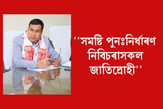 Jayanta Malla Baruah on constituency delimitation