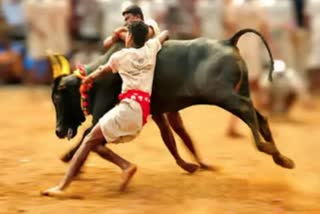 Jallikattu (symbolic)