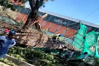 Etv Bharatbengaluru metro pillar collapse case Three engineers suspended