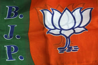 Top BJP leader asks J&K unit to switch to election mode