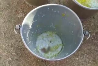 Snake found in mid day meal