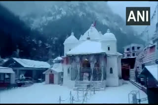 snowfall in gangotri