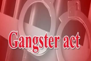 Gangsters Act