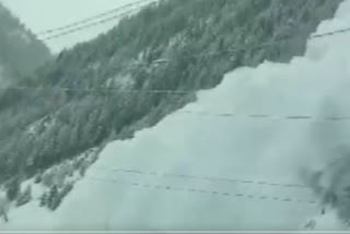 avalanche occurred near Baltal in Ganderbal