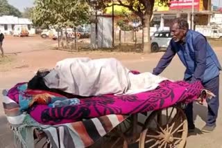 sick-wife-to-hospital-on-pushcart