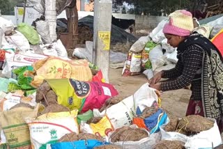 dung cakes is being sold in Bathinda