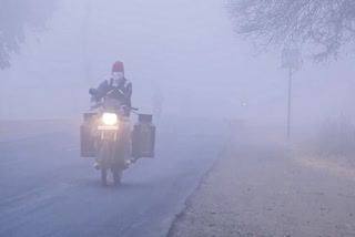 The latest IMD bulletin has forecast dense to very dense fog very likely in some parts of Bihar and a dense fog is expected in isolated pockets over Uttar Pradesh, Odisha, West Bengal, Sikkim, Assam and Tripura on Wednesday (January 12).