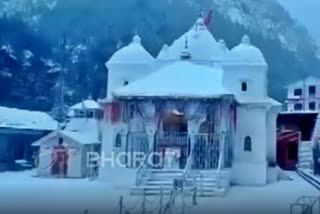 Snowfall in gangotri: ગંગોત્રીમાં ભારે હિમવર્ષા, ધામનો નજારો બદલાયો