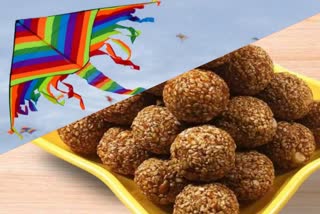 makar sankranti festival